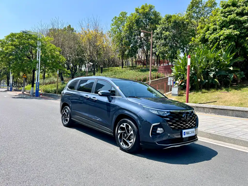 Hyundai Custo — фото 25