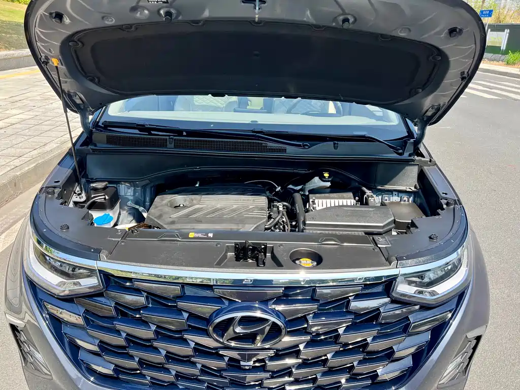 Hyundai Custo — фото 33