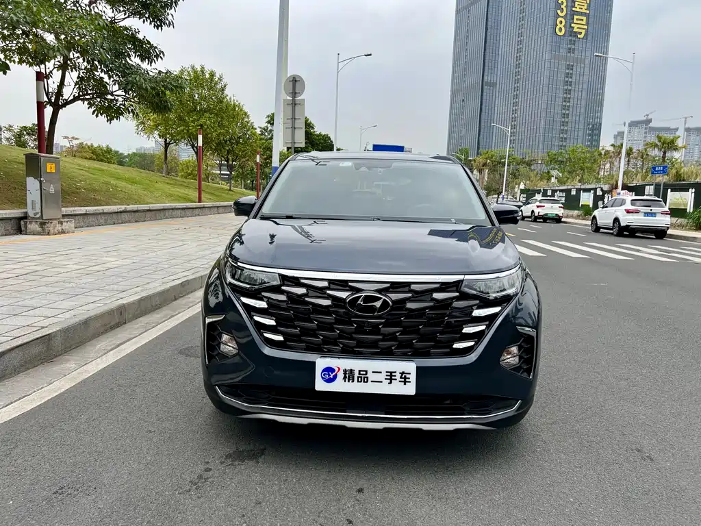 Hyundai Custo — фото 23