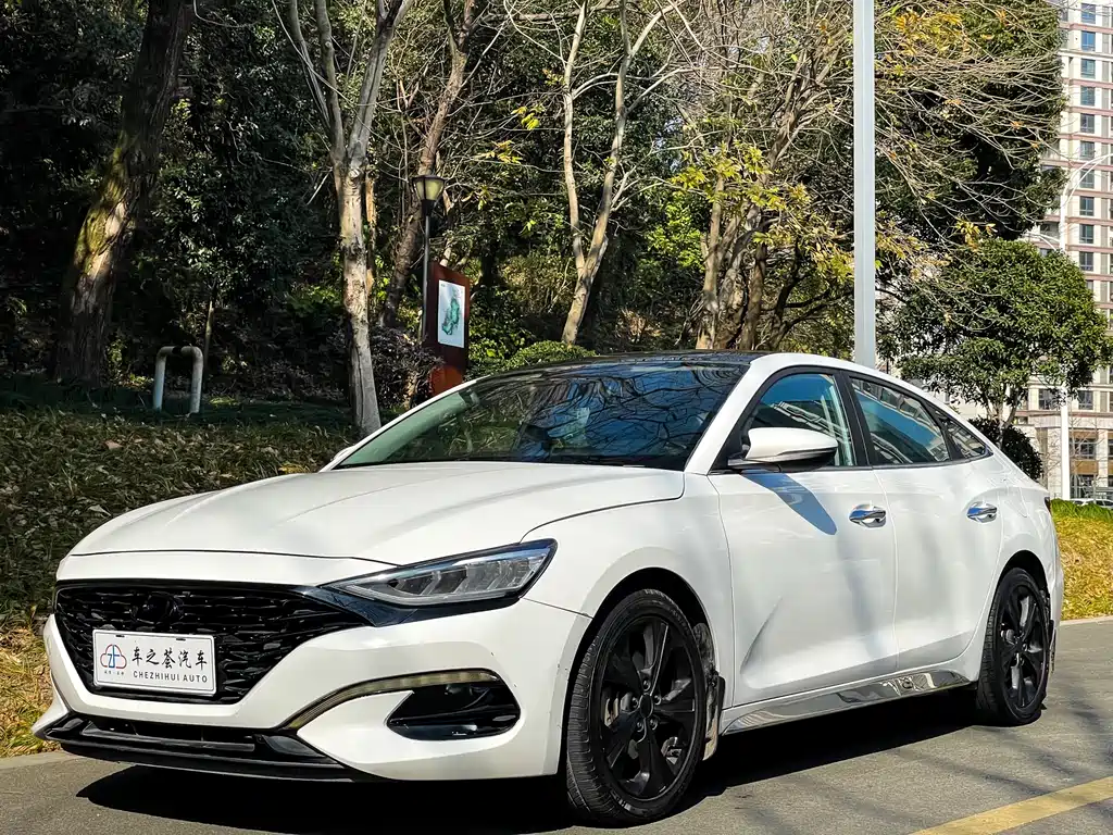Hyundai Fista — фото 2