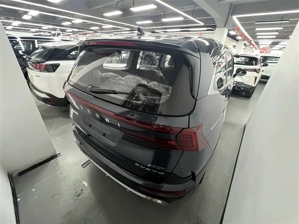 Hyundai Custo — фото 7