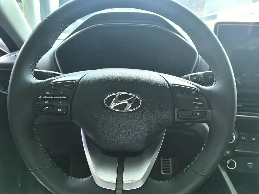Hyundai Fista — фото 13