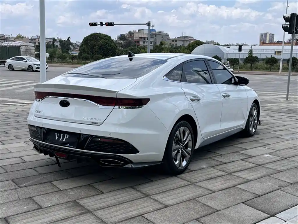 Hyundai Fista — фото 3