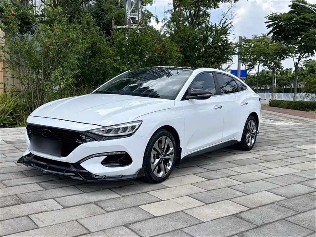 Hyundai Fista — фото 4