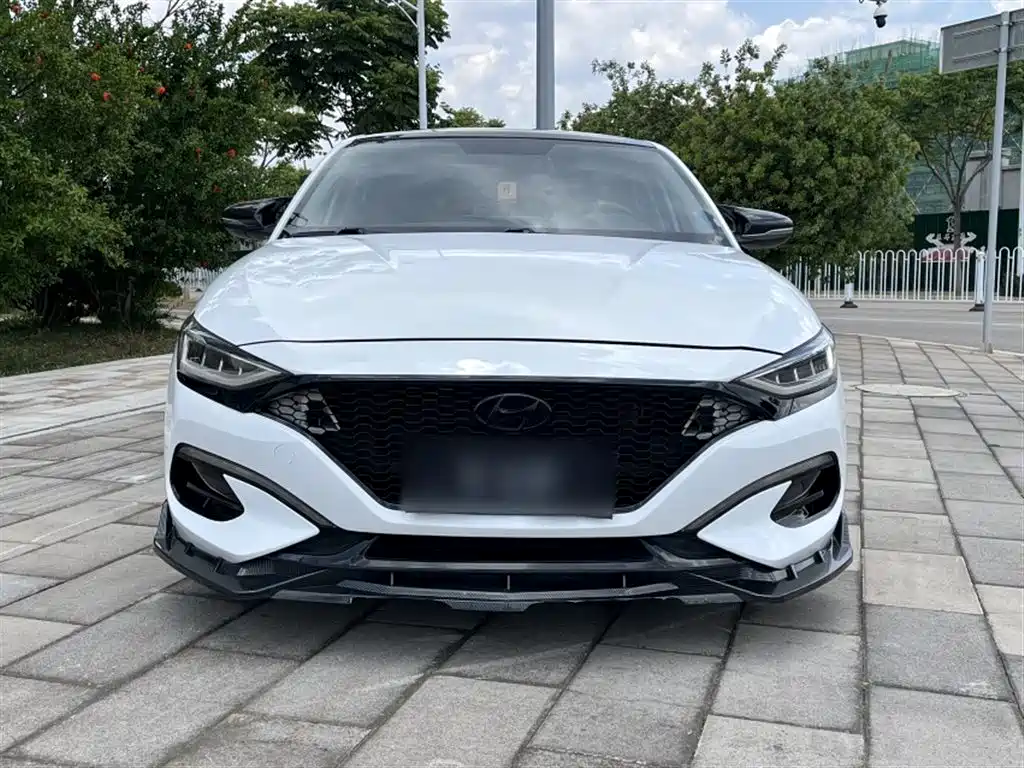 Hyundai Fista — фото 8