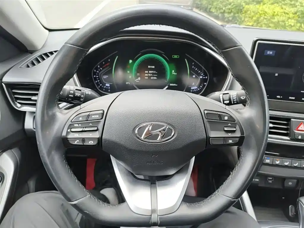 Hyundai Fista — фото 11