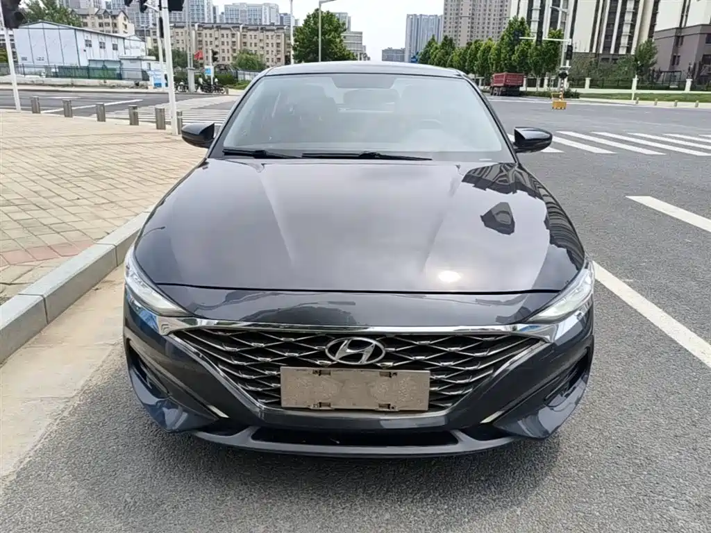 Hyundai Fista — фото 3