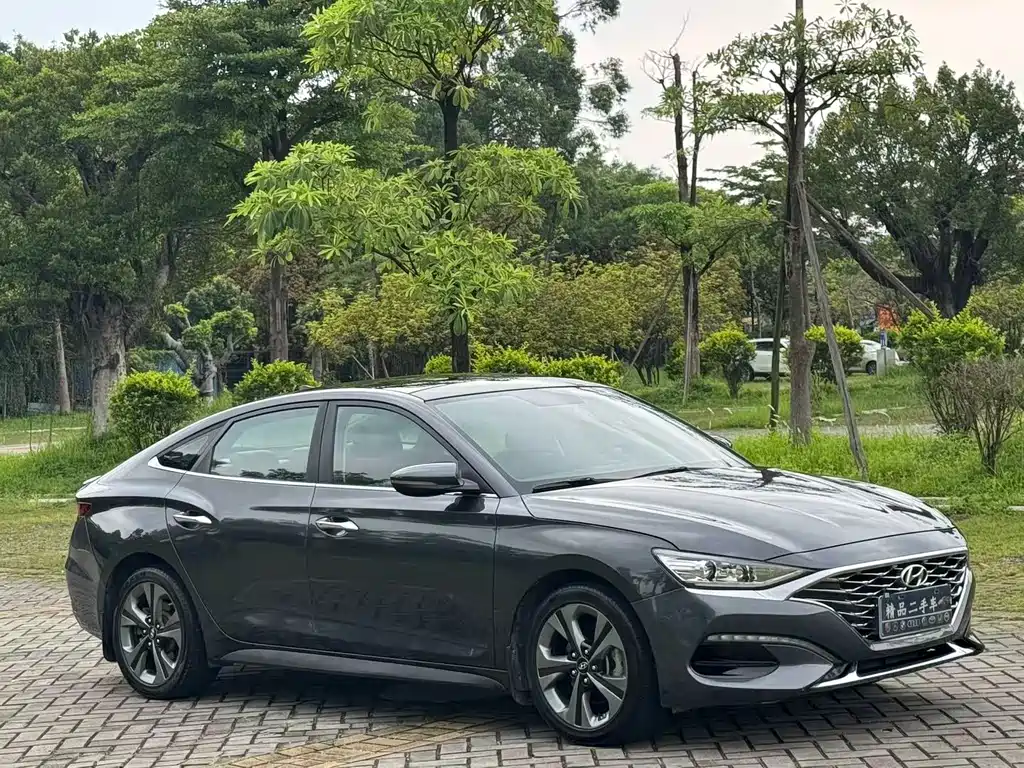 Hyundai Fista — фото 3