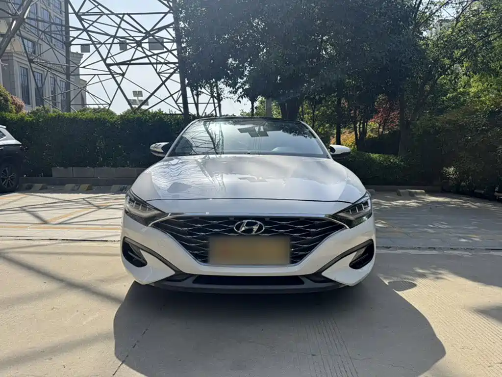 Hyundai Fista — фото 3