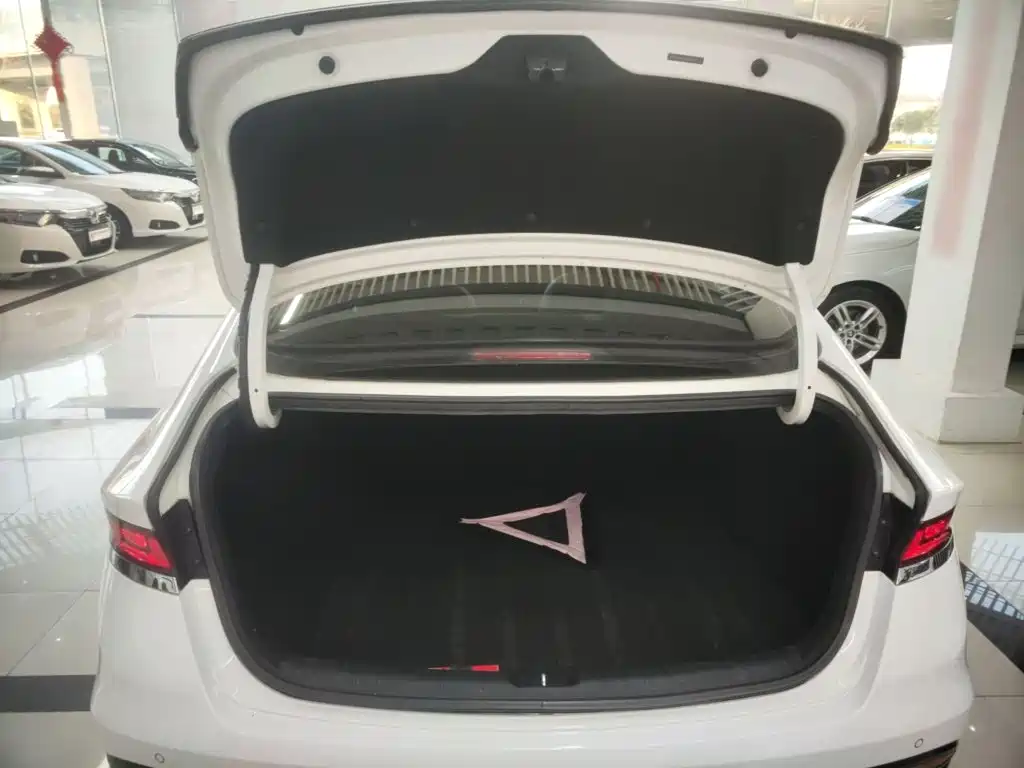 Hyundai Fista — фото 19
