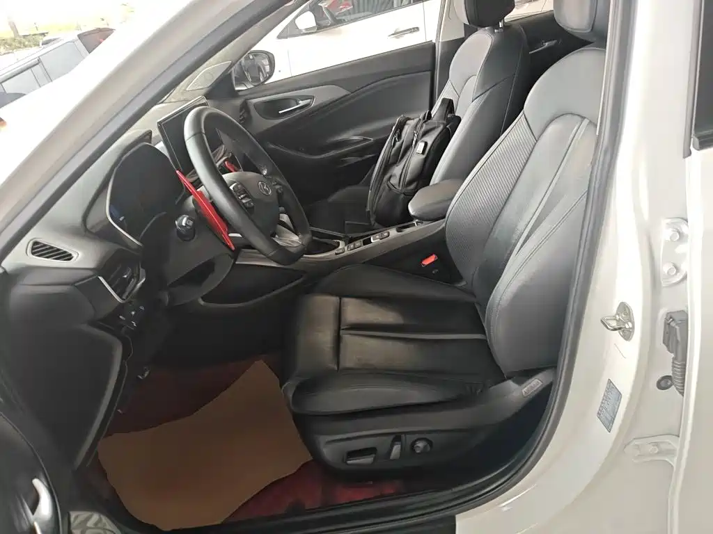 Hyundai Fista — фото 11