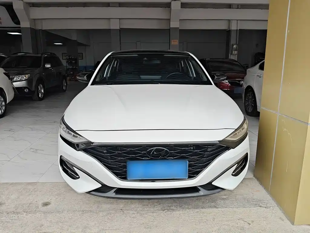 Hyundai Fista — фото 3