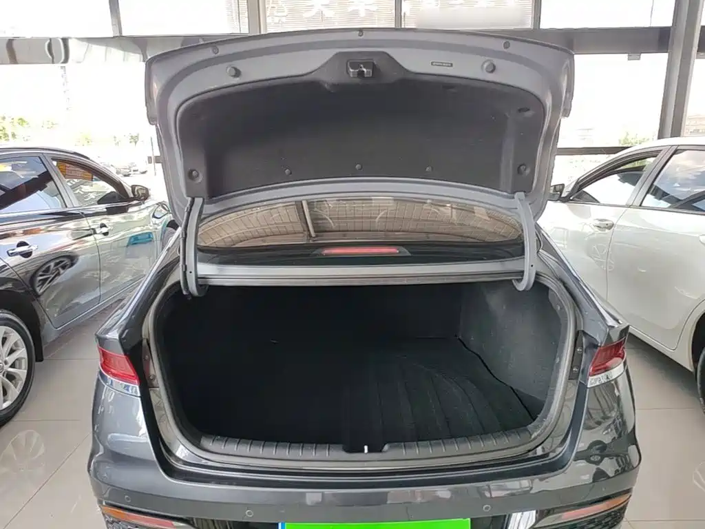 Hyundai Fista — фото 19