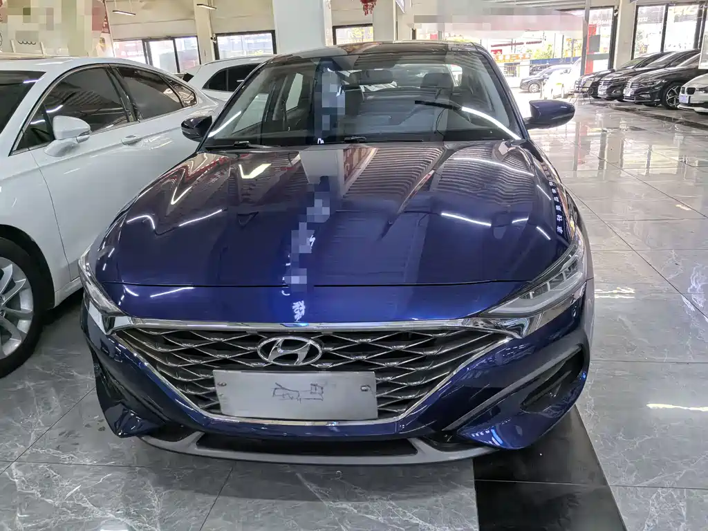 Hyundai Fista — фото 2
