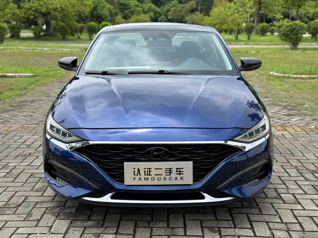 Hyundai Fista — фото 2