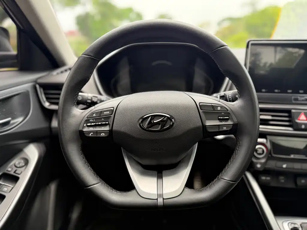 Hyundai Fista — фото 10