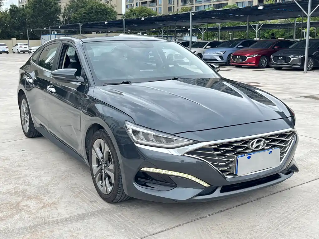 Hyundai Fista — фото 3