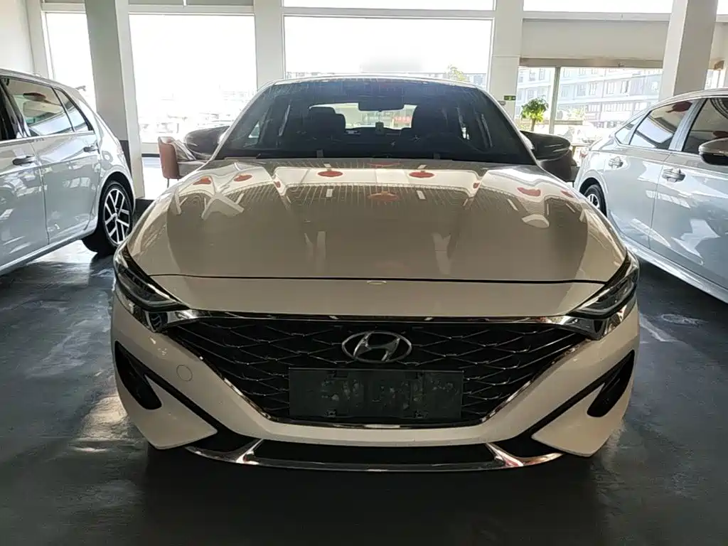 Hyundai Fista — фото 3