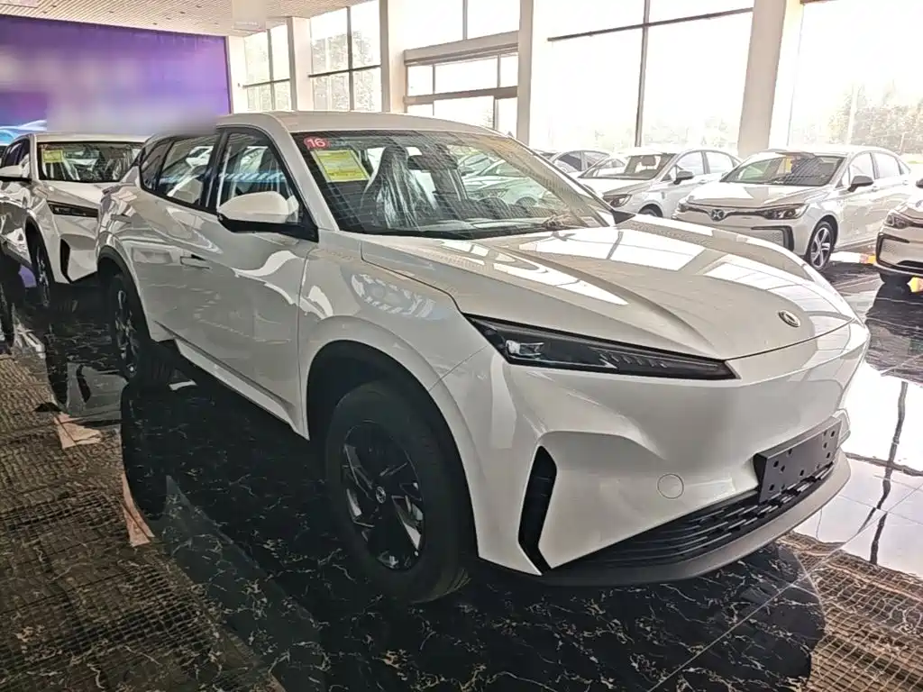 Aeolus SKY EV01 — фото 22