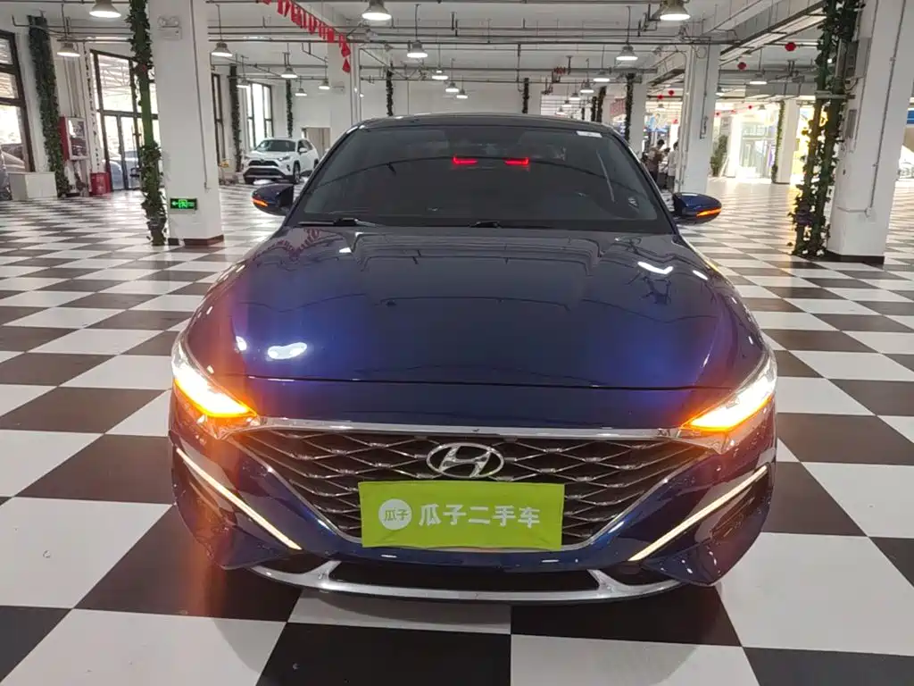 Hyundai Fista — фото 3