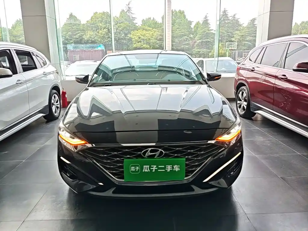 Hyundai Fista — фото 3