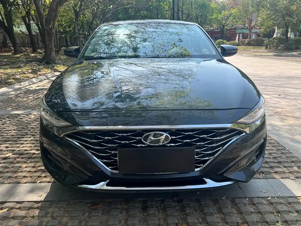 Hyundai Fista — фото 2