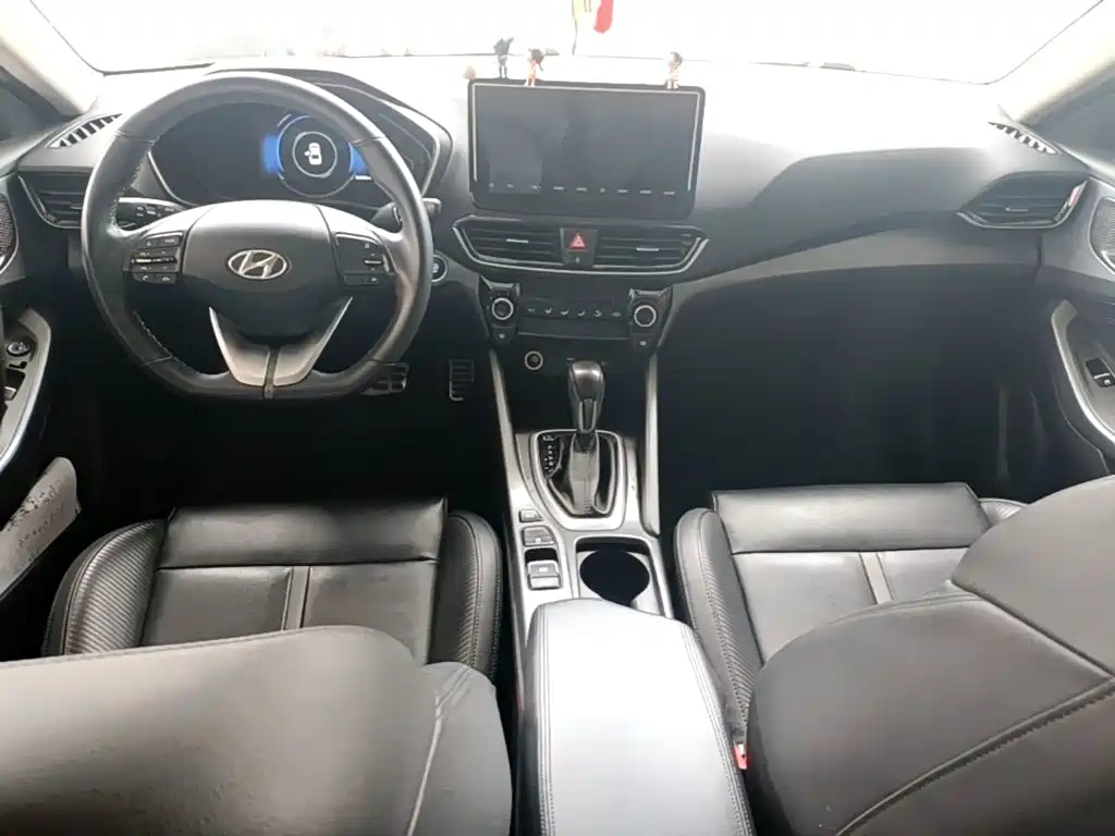 Hyundai Fista — фото 10