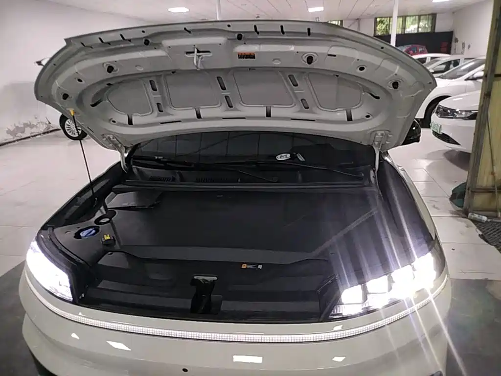 Hyundai EO — фото 20