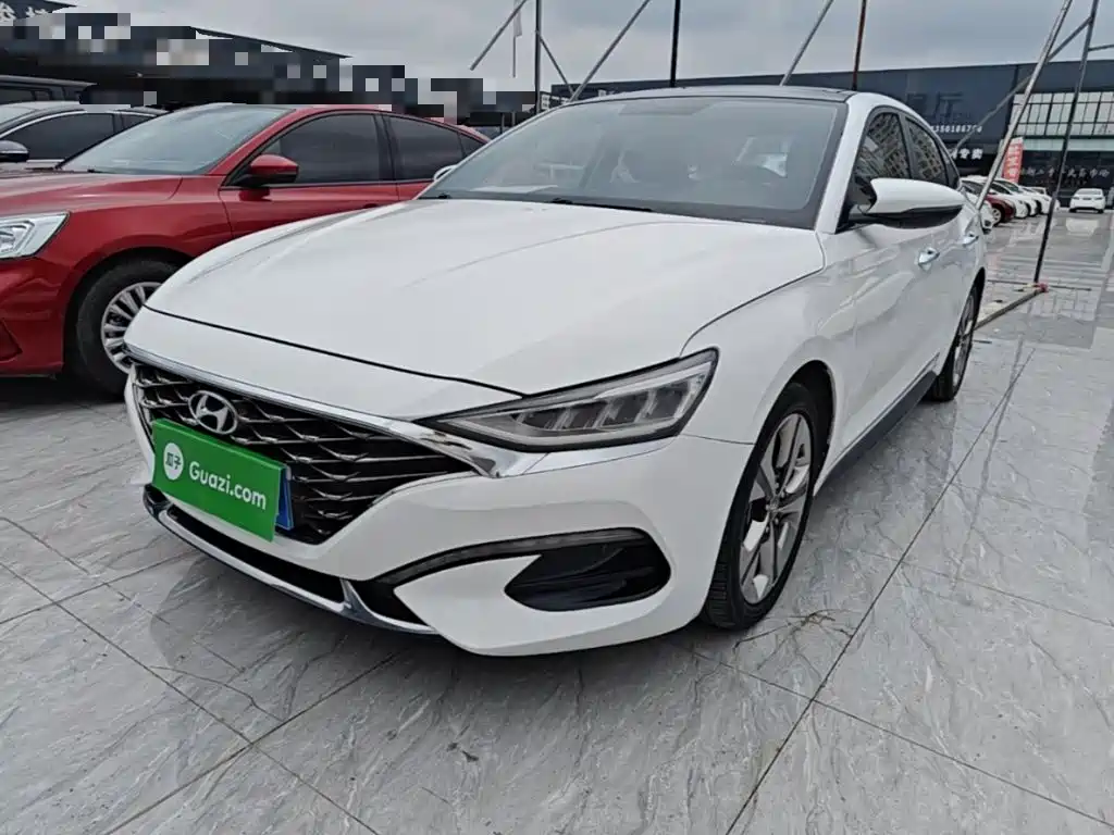 Hyundai Fista — фото 2