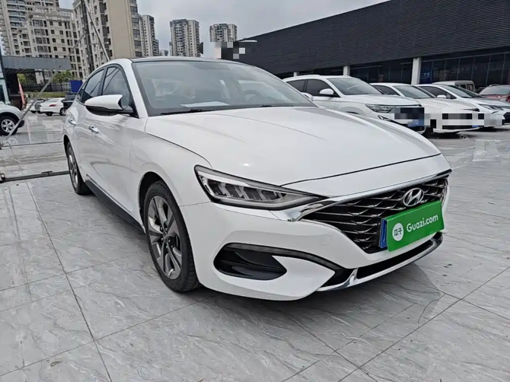 Hyundai Fista — фото 22