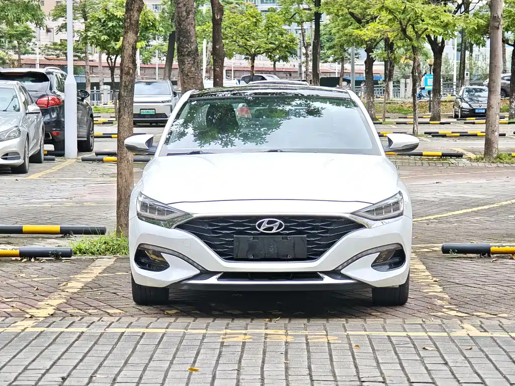 Hyundai Fista — фото 3