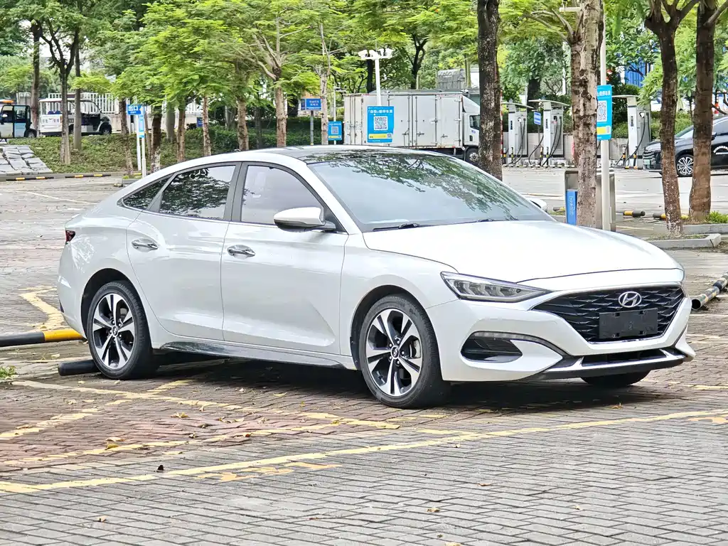 Hyundai Fista — фото 4