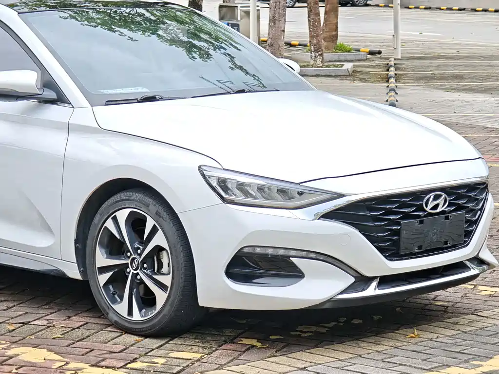 Hyundai Fista — фото 5