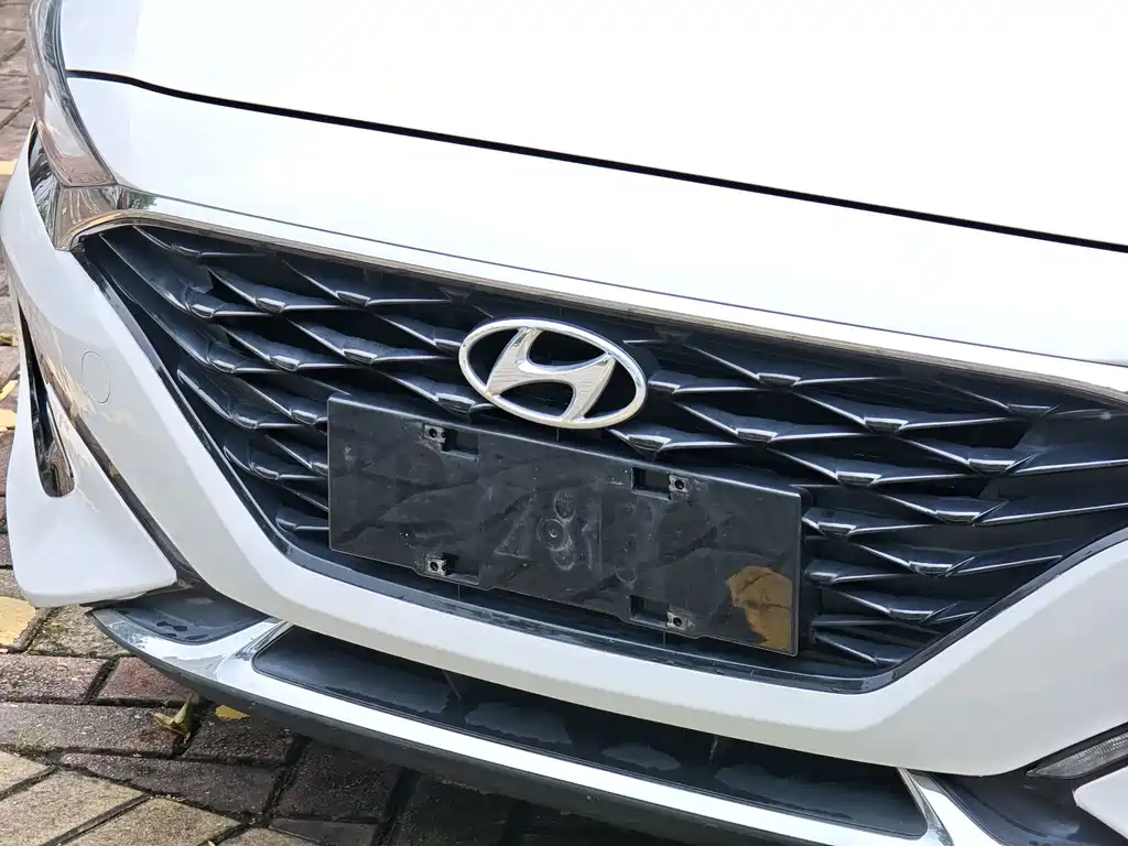 Hyundai Fista — фото 6