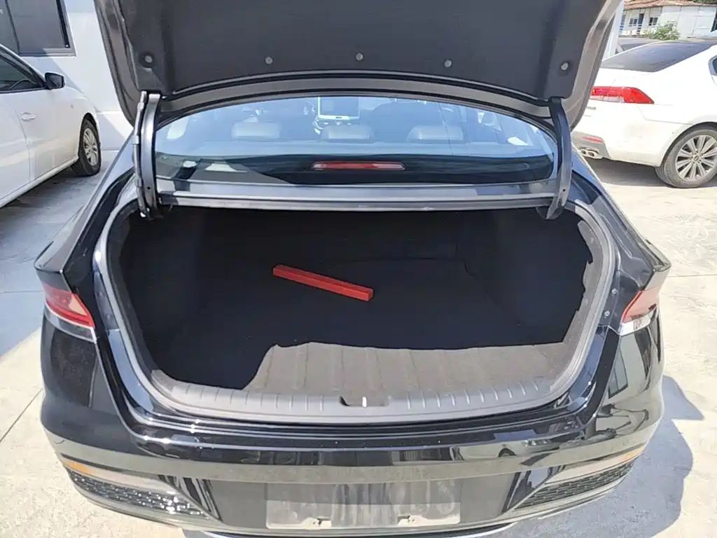 Hyundai Fista — фото 19