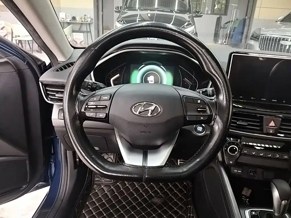 Hyundai Fista — фото 11