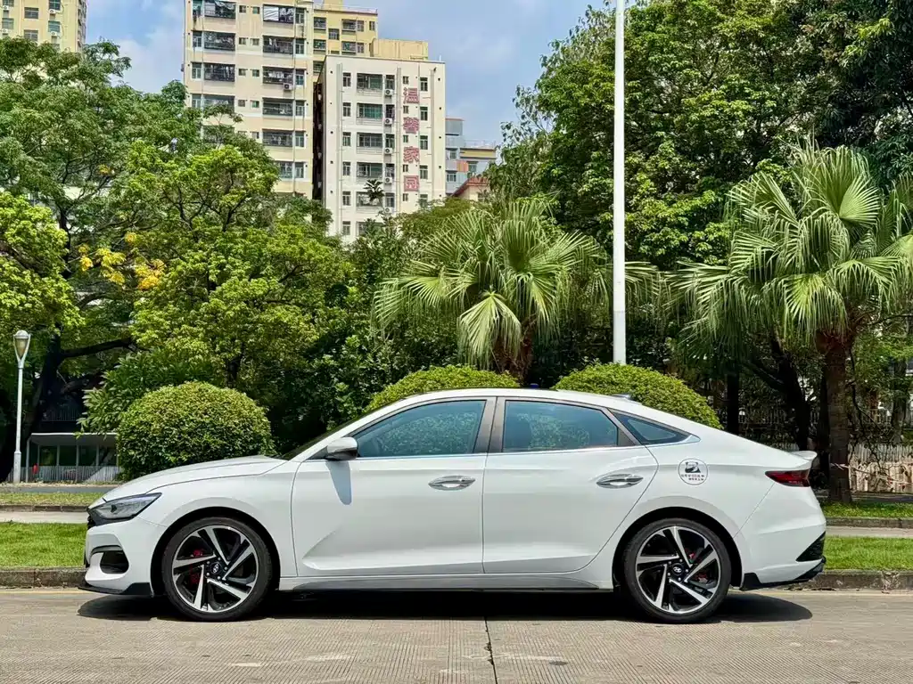 Hyundai Fista — фото 3