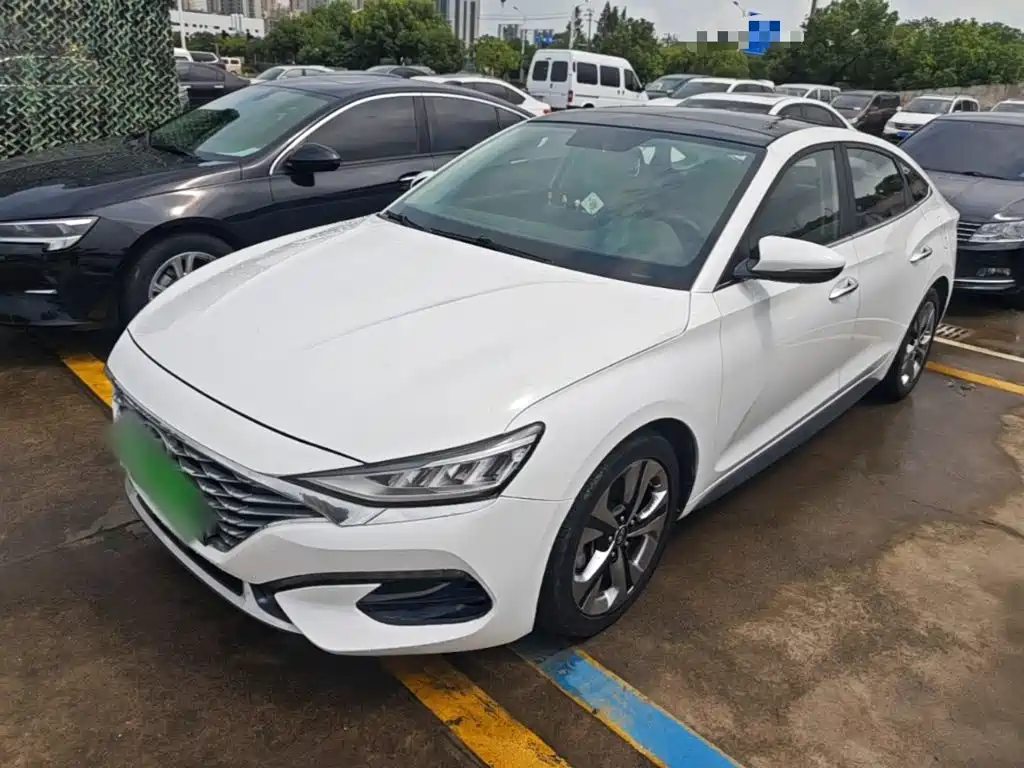 Hyundai Fista — фото 2