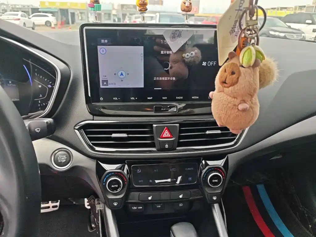 Hyundai Fista — фото 13