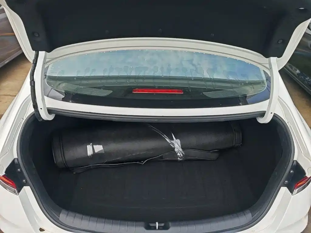 Hyundai Fista — фото 19