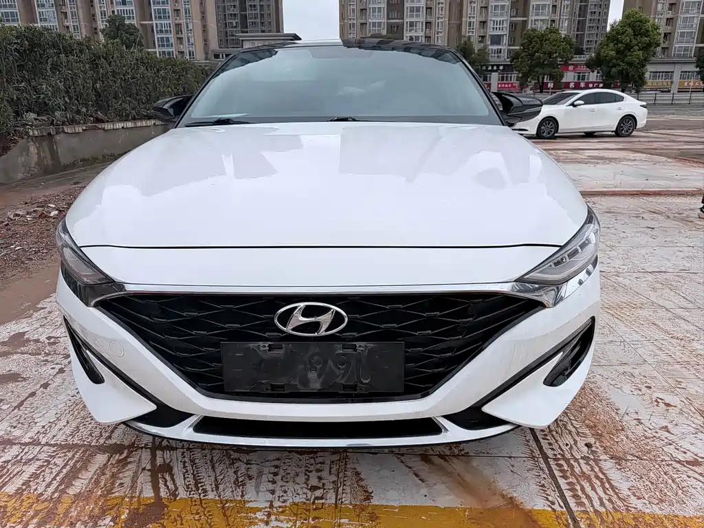 Hyundai Fista — фото 2