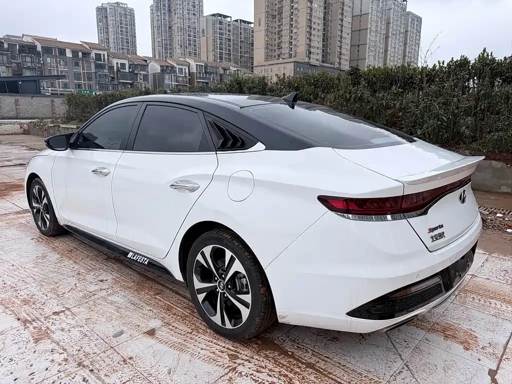 Hyundai Fista — фото 9