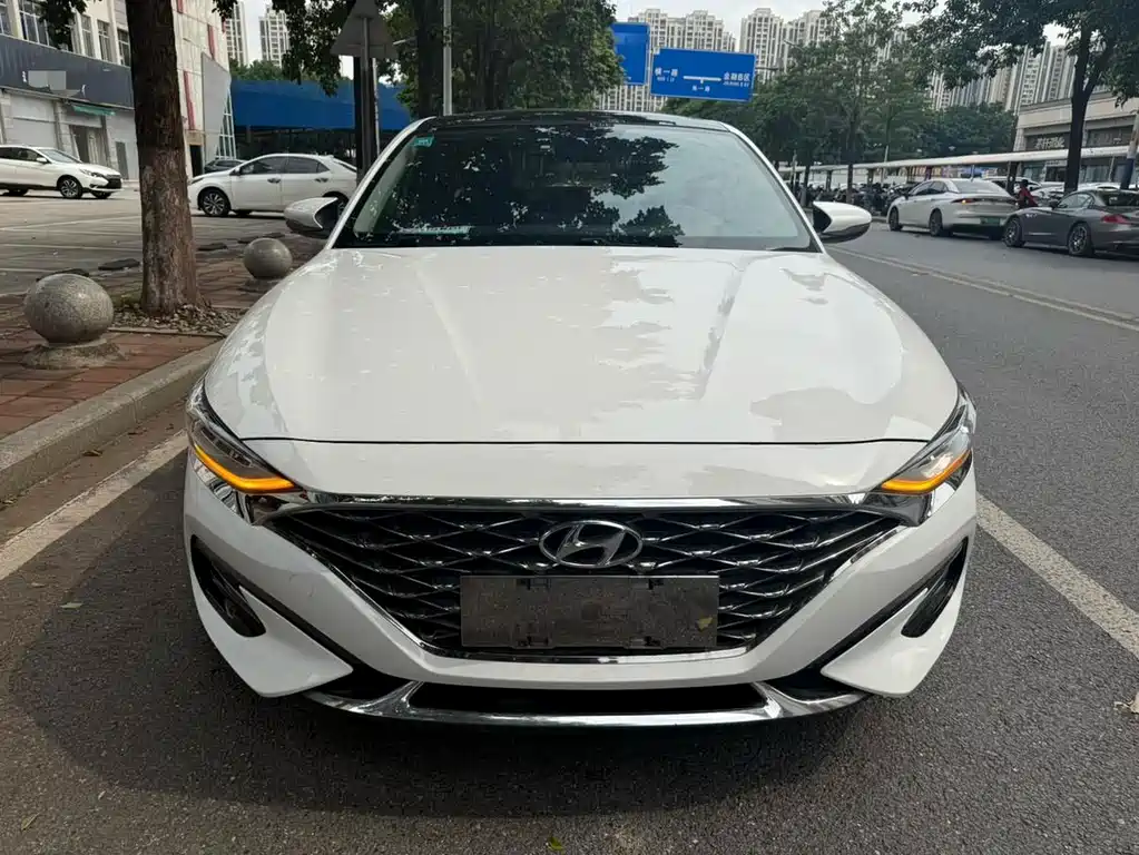 Hyundai Fista — фото 2