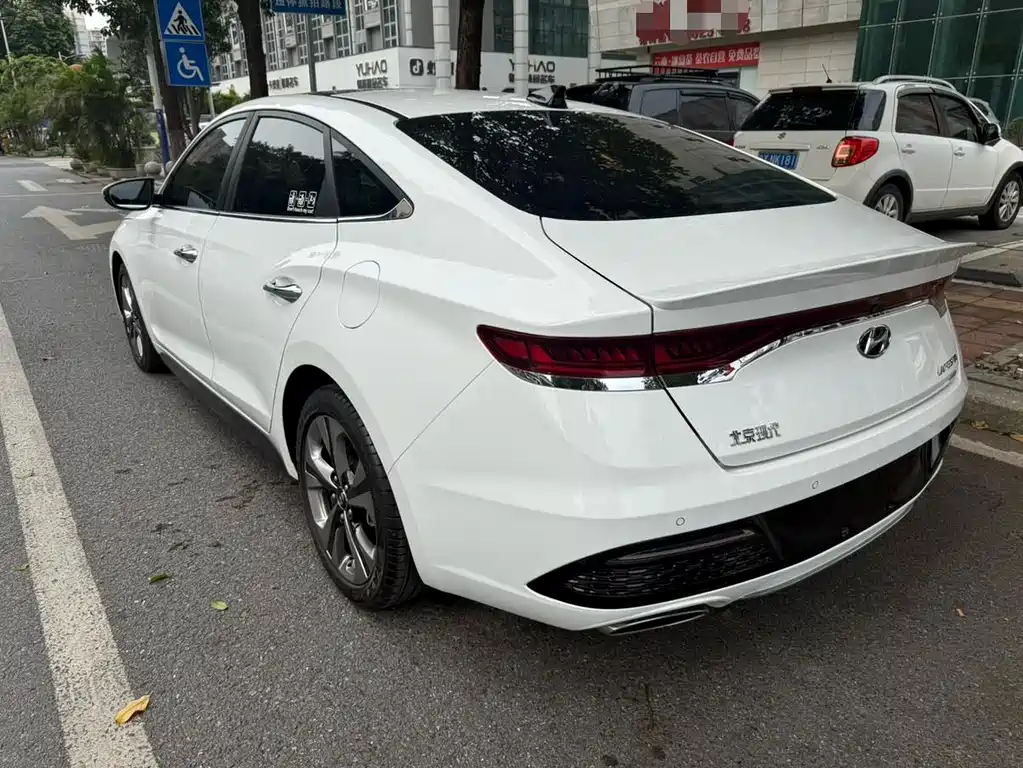 Hyundai Fista — фото 10