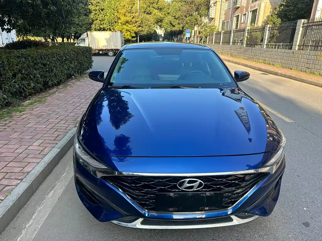 Hyundai Fista — фото 2