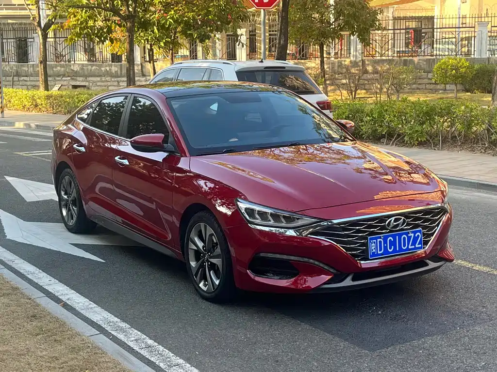 Hyundai Fista — фото 2