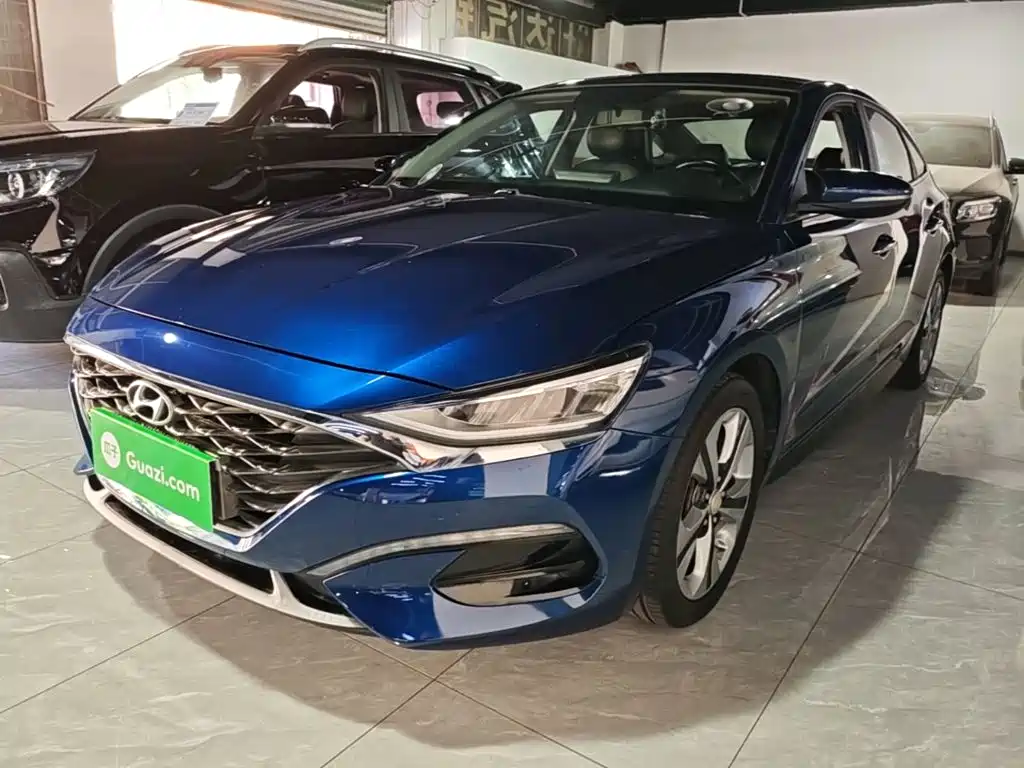 Hyundai Fista — фото 2