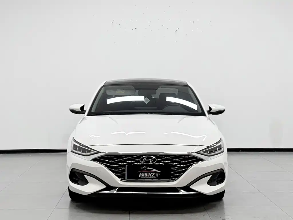 Hyundai Fista — фото 2