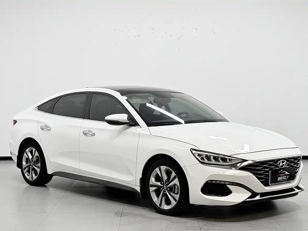 Hyundai Fista — фото 3