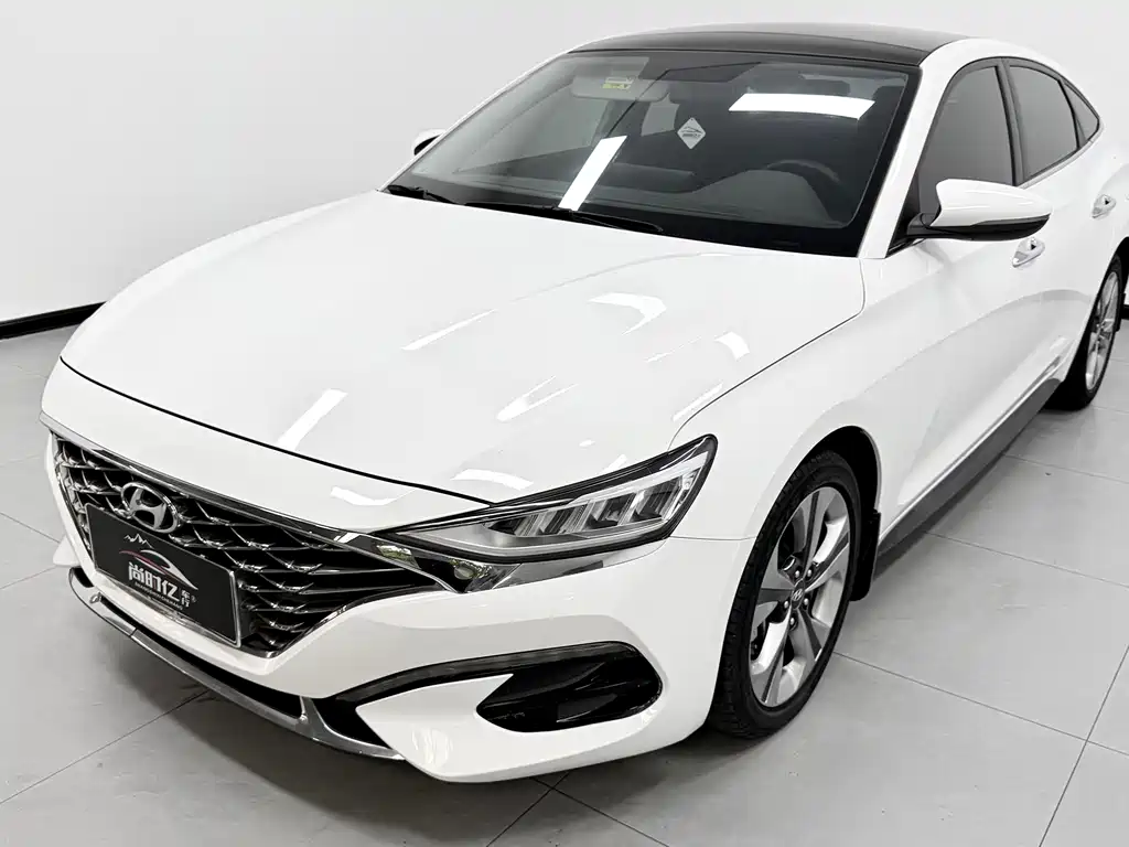 Hyundai Fista — фото 9